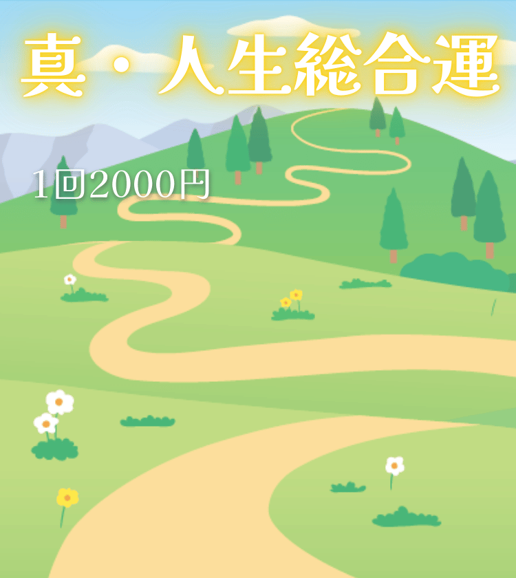 有料 - 姓名判断：真·人生総合運イメージ