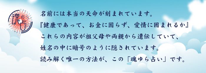 姓名判断 魂ゆら占い 樹門幸宰